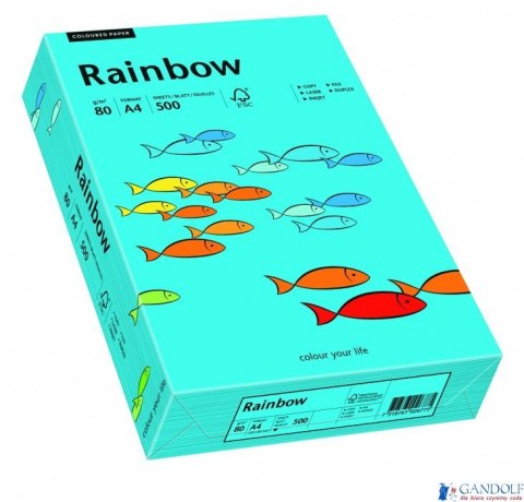 Papier xero kolorowy RAINBOW niebieski R87 88042739