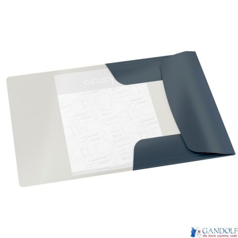 Teczka kartonowa z gumką Leitz Cosy, A4, szara 30020089 .