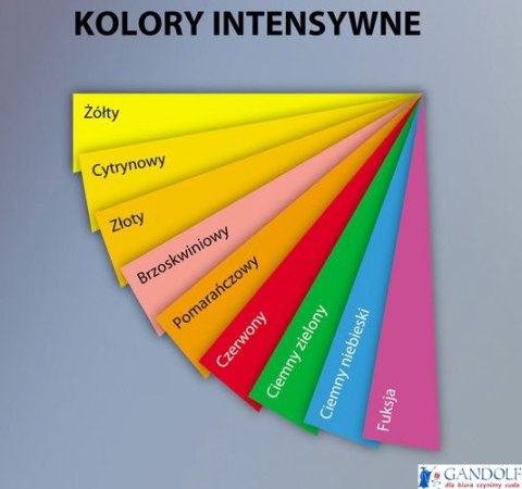 Papier xero A4 80g brzoskwinio xem408055 EMERSON