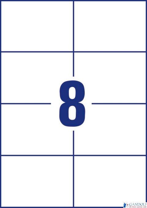 Trwałe etykiety uniwersalne 3427 105 x 74 100ark Avery Zweckform