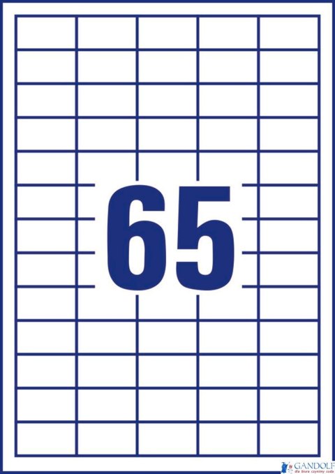 Trwałe etykiety uniwersalne 3666 38x21,2 100ark Avery Zweckform