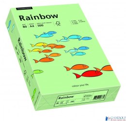 Papier xero kolorowy RAINBOW przygaszona zieleń R75 88042629