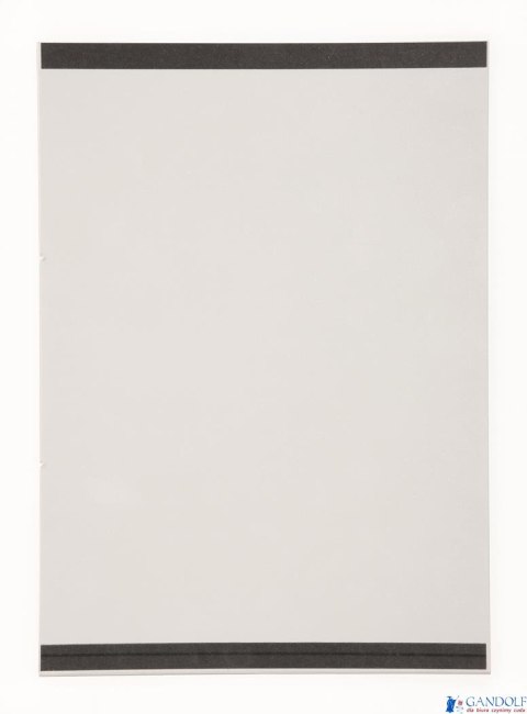 Kieszeń magnetyczna przezroczysta A4 (2) 487419 (X)