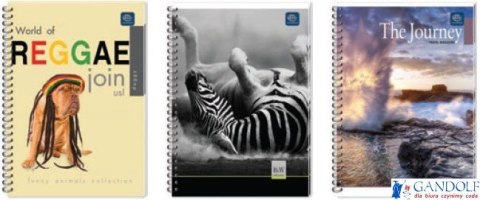 Kołonotatnik A5 100k linia GARWOLIN