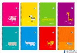 Kołozeszyt A6 80 kr.z poddrukiem B&B KIDS 9365