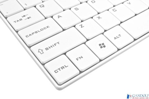 Zestaw Klawiatura+Mysz LIIBERTY biały bezprz. EK122W ESPERANZA 2.4GHz