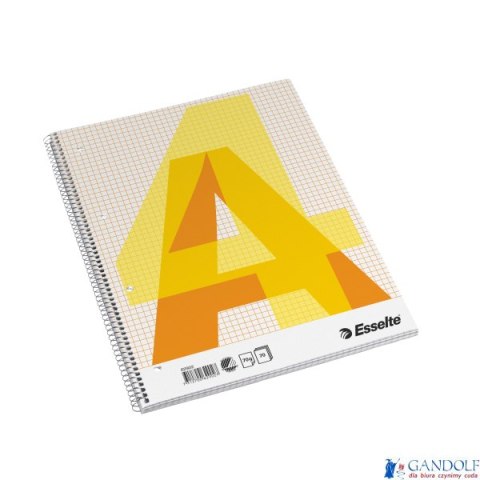 Zeszyt biurowy, A4, w kratkę, spirala z boku Esselte, 62902 Zeszyt biurowy, A4, w kratkę, spirala z boku Esselte, 62902