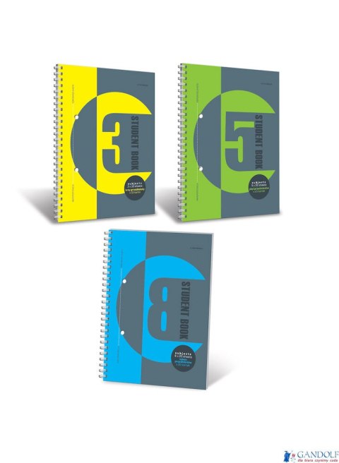 Kołonotatnik B5 100 kartek, kratka, STUDENT BOOK, TOP 2000, 400091123