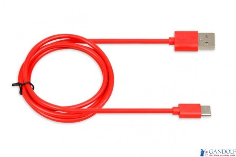 Kabel do transferu danych i zasilania USB 2w1 TYP C czerwony 1m (2A) Ibox IKUMTCR