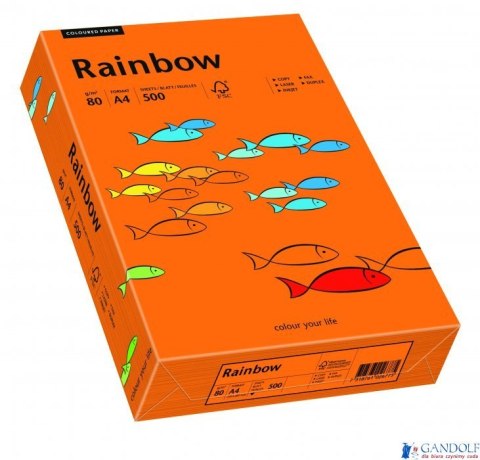 Papier xero kolorowy RAINBOW ciemnopomarańczowy R26 88042453 Papier xero kolorowy RAINBOW ciemnopomarańczowy R26 88042453