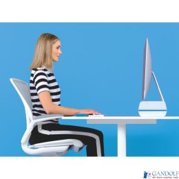 Podstawka pod monitor Leitz, niebieska 65040036 SALE