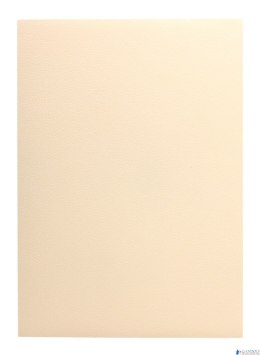 Karton wizytówkowy A4 W19 tłoczony (20 arkuszy) 246g KRESKA