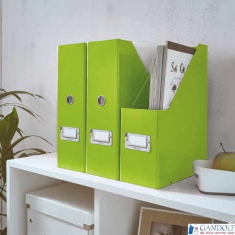 Pudło na czasopisma Leitz C&S, zielone 60470054