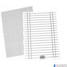 Liniuszka A5 kratka/linia (10) INTERDRUK