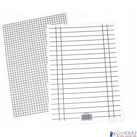 Liniuszka A5 kratka/linia (10) INTERDRUK