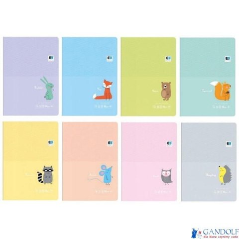 Zeszyt A5 16k. kolor. linia B&B KIDS PASTEL 5563 INTERDRUK