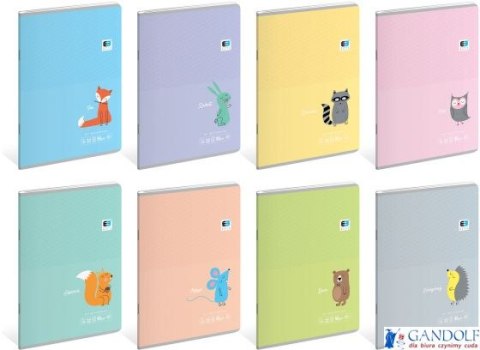 Zeszyt A5 32k kratka BEBE KIDS Pastel 1298 INTERDRUK