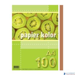 Papier xero A4 brązowy (100 arkuszy) KRESKA