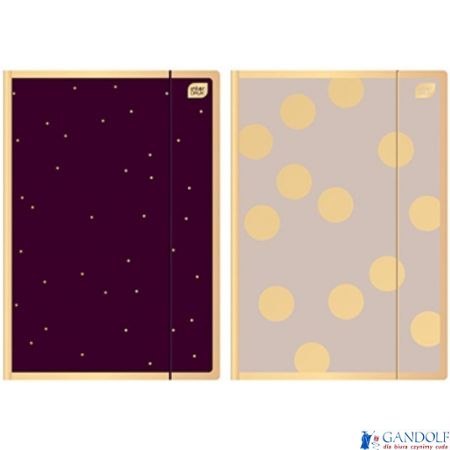 Teczka A4+ z gumką SATIN GOLD INTRDRUK