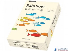 Papier xero kolorowy A4 160g.kremowy R03 RAINBOW 88042257 koś.sł.OPT