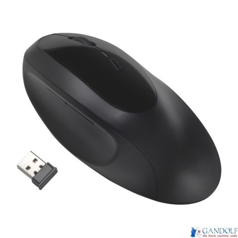 Bezprzewodowa mysz Pro Fit Ergo Kensington K75404EU Bezprzewodowa mysz Pro Fit Ergo Kensington K75404EU