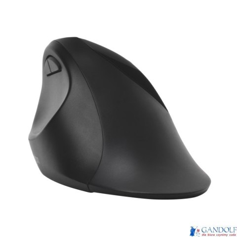 Bezprzewodowa mysz Pro Fit Ergo Kensington K75404EU Bezprzewodowa mysz Pro Fit Ergo Kensington K75404EU