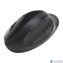 Bezprzewodowa mysz Pro Fit Ergo Kensington K75404EU