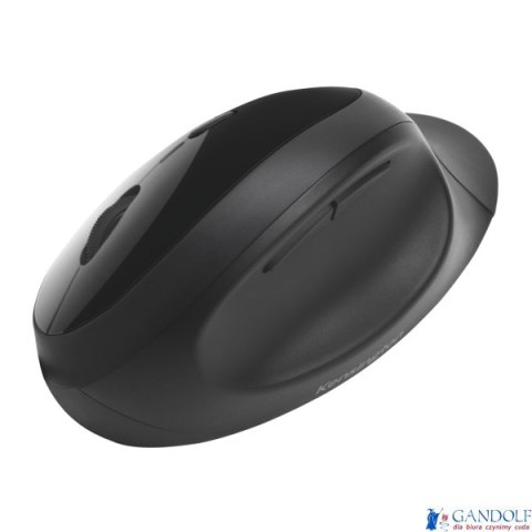 Bezprzewodowa mysz Pro Fit Ergo Kensington K75404EU Bezprzewodowa mysz Pro Fit Ergo Kensington K75404EU