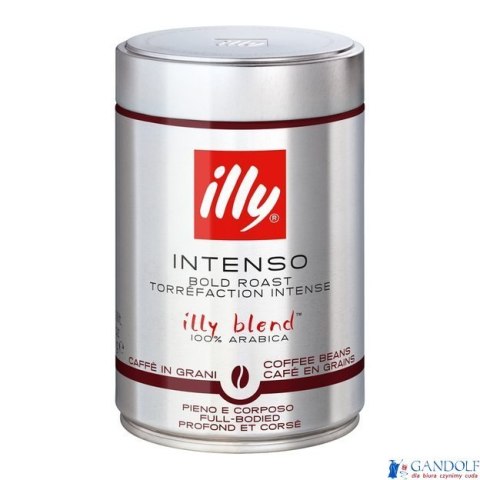 Kawa ILLY INTENSO ESPRESSO 250g ziarnista puszka