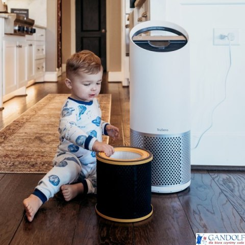 Filtr zapachów HEPA (3 w 1) Leitz TruSens Z-3000 2415125