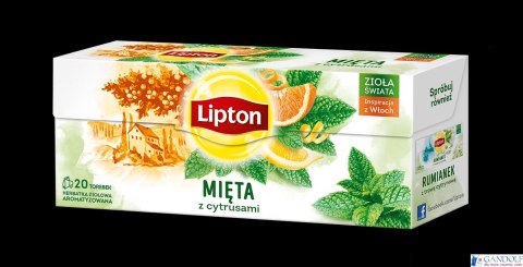Herbata LIPTON MIĘTA Z CYTRUSAMI 20 saszetek Herbata LIPTON MIĘTA Z CYTRUSAMI 20 saszetek