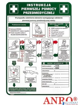 Tabliczka INSTRUKCJA UDZIELANIA PIERWSZEJ POMOCY PRZEDMEDYCZNEJ 250x350 PŁYTA PCV ZZ-IB13 ANRO