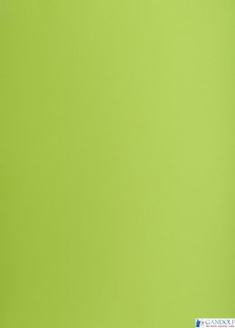 Karton kolorowy Oxford B2 225g 25ark nr.66 j.zielony 400150337 TOP-2000