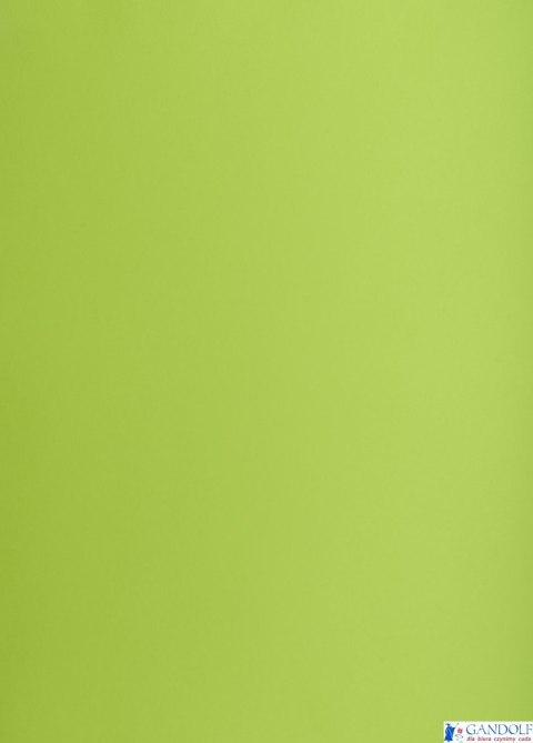 Karton kolorowy Oxford B2 225g 25ark nr.66 j.zielony 400150337 TOP-2000