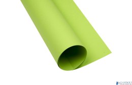 Karton kolorowy Oxford B2 225g 25ark nr.66 j.zielony 400150337 TOP-2000