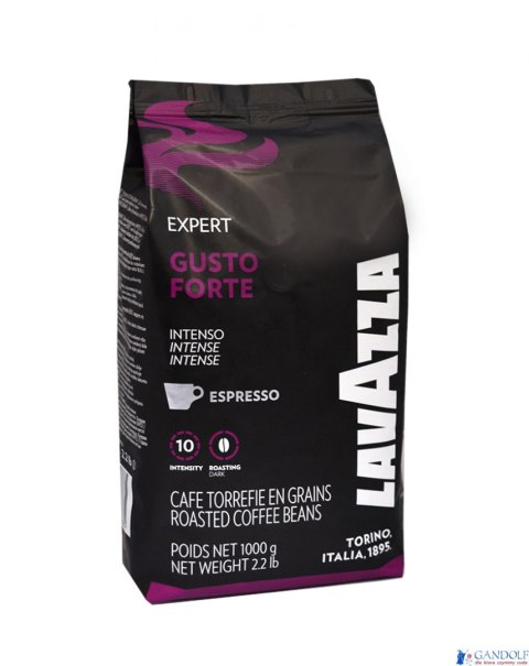 Kawa LAVAZZA GUSTO FORTE VENDING EXPERT 1kg ziarnista Kawa LAVAZZA GUSTO FORTE VENDING EXPERT 1kg ziarnista
