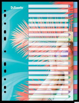 Przekładki ColourBreeze PP A4, 20 przekładek Esselte 628502