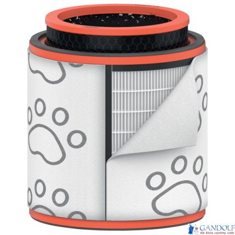 Filtr dla właścicieli zwierząt HEPA (3 w 1) Leitz TruSens Z-3000 2415131