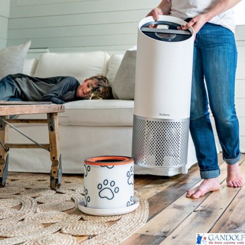 Filtr dla właścicieli zwierząt HEPA (3 w 1) Leitz TruSens Z-3000 2415131