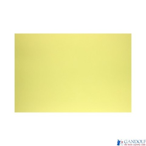 Karton kolorowy Creatinio A1 160g 25ark nr.55B jasnożółty 400149553 TOP-2000