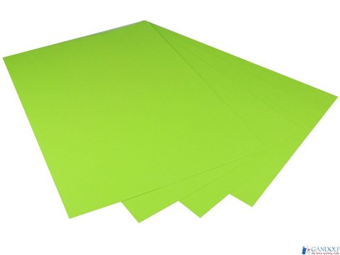 Karton kolorowy Creatinio A1 160g 25ark nr.68W jasnozielony 400149559 TOP-2000