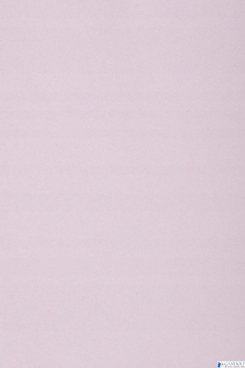 Karton kolorowy Creatinio A1 160g 25ark nr.85 liliowy 400149562 TOP-2000