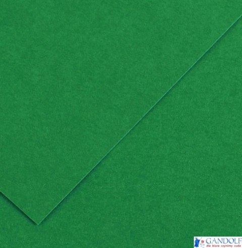 Karton kolorowy Oxford B1 225g 25ark nr.63 c.zielony 400150269 TOP-2000