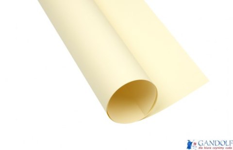 Karton kolorowy Oxford B2 225g 25ark nr.12 kremowy 400150321 TOP-2000