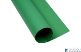 Karton kolorowy Oxford B2 225g 25ark nr.69 groszkowy 400150336 TOP-2000