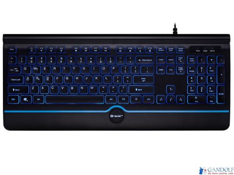 Klawiatura TRACER OFIS PRO USB TRAKLA46473