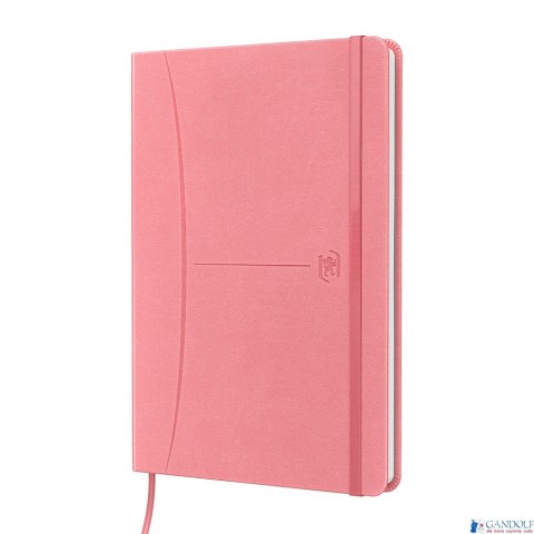 Notatnik OXFORD SIGNATURE A5 80 kartek kratka mix past 400154940