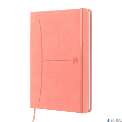 Notatnik OXFORD SIGNATURE A5 80 kartek kratka mix past 400154940