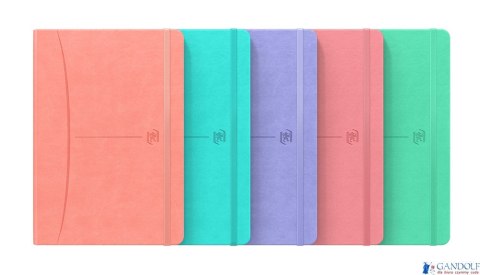 Notatnik OXFORD SIGNATURE A5 80 kartek kratka mix past 400154940