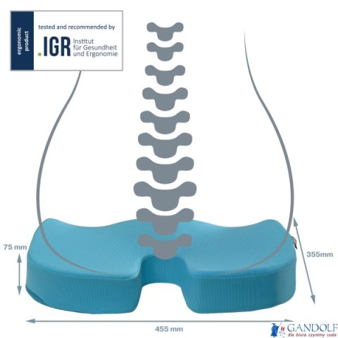 Ortopedyczna poduszka na krzesło Leitz Ergo Cosy, niebieska 52840061